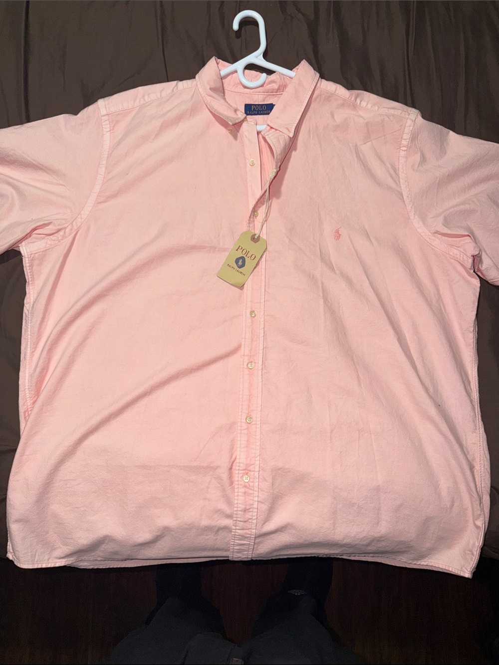 Polo by Ralph Lauren Short-Sleeve Button-Down Shirt in Pale Pink